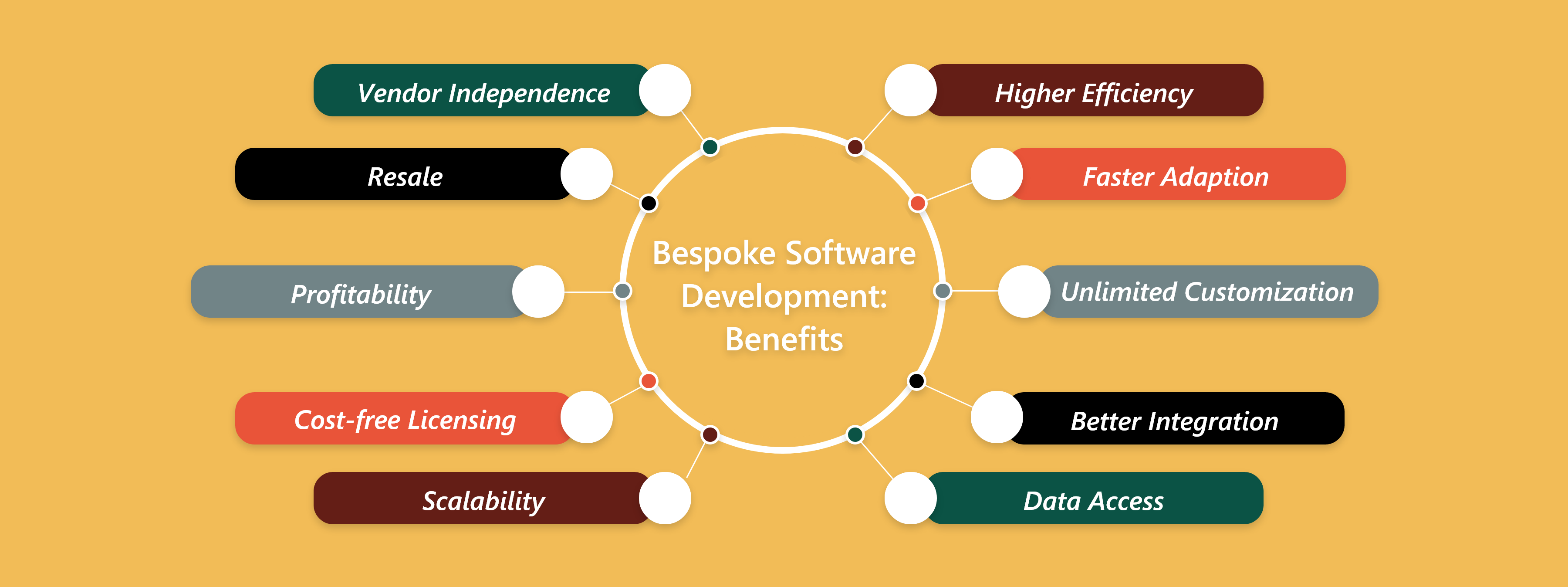 Bespoke Software Development